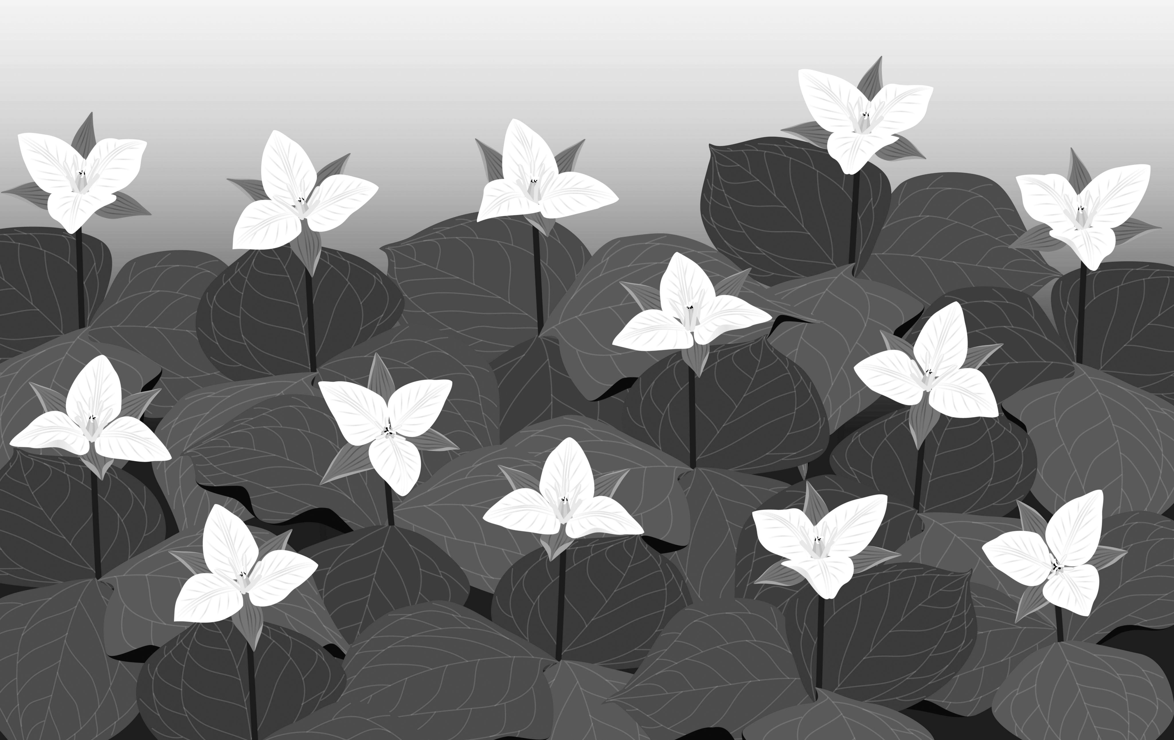 Fleur emblème franco-ontarien