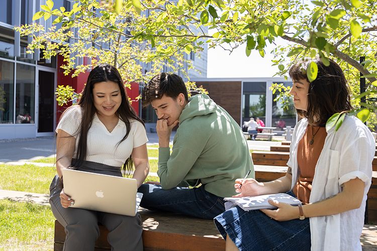 Trois étudiants et étudiants complétant leurs travaux scolaire à l'extérieur