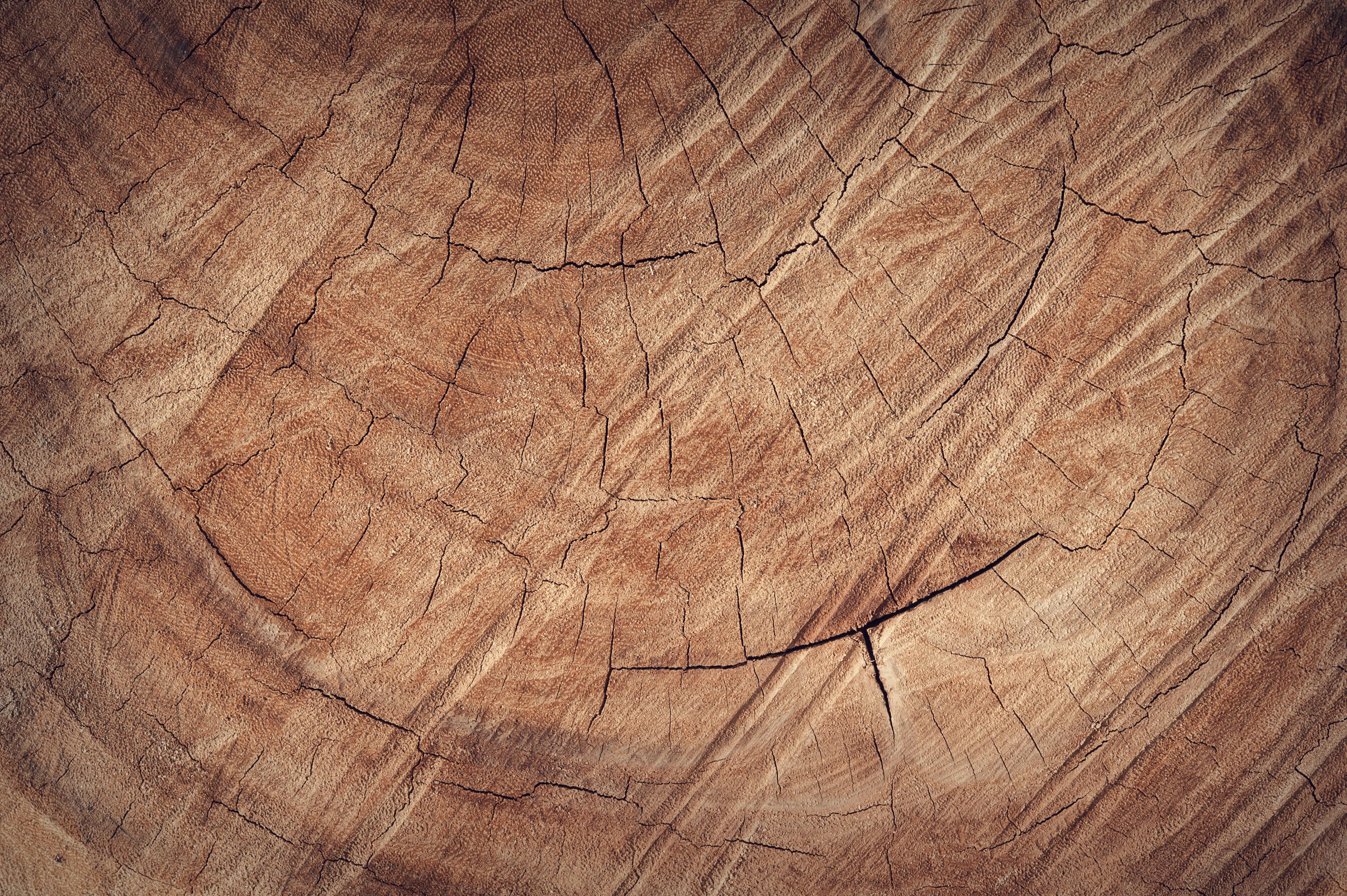 Detailed close-up of rustic brown wood texture, revealing natural grain and cracks.