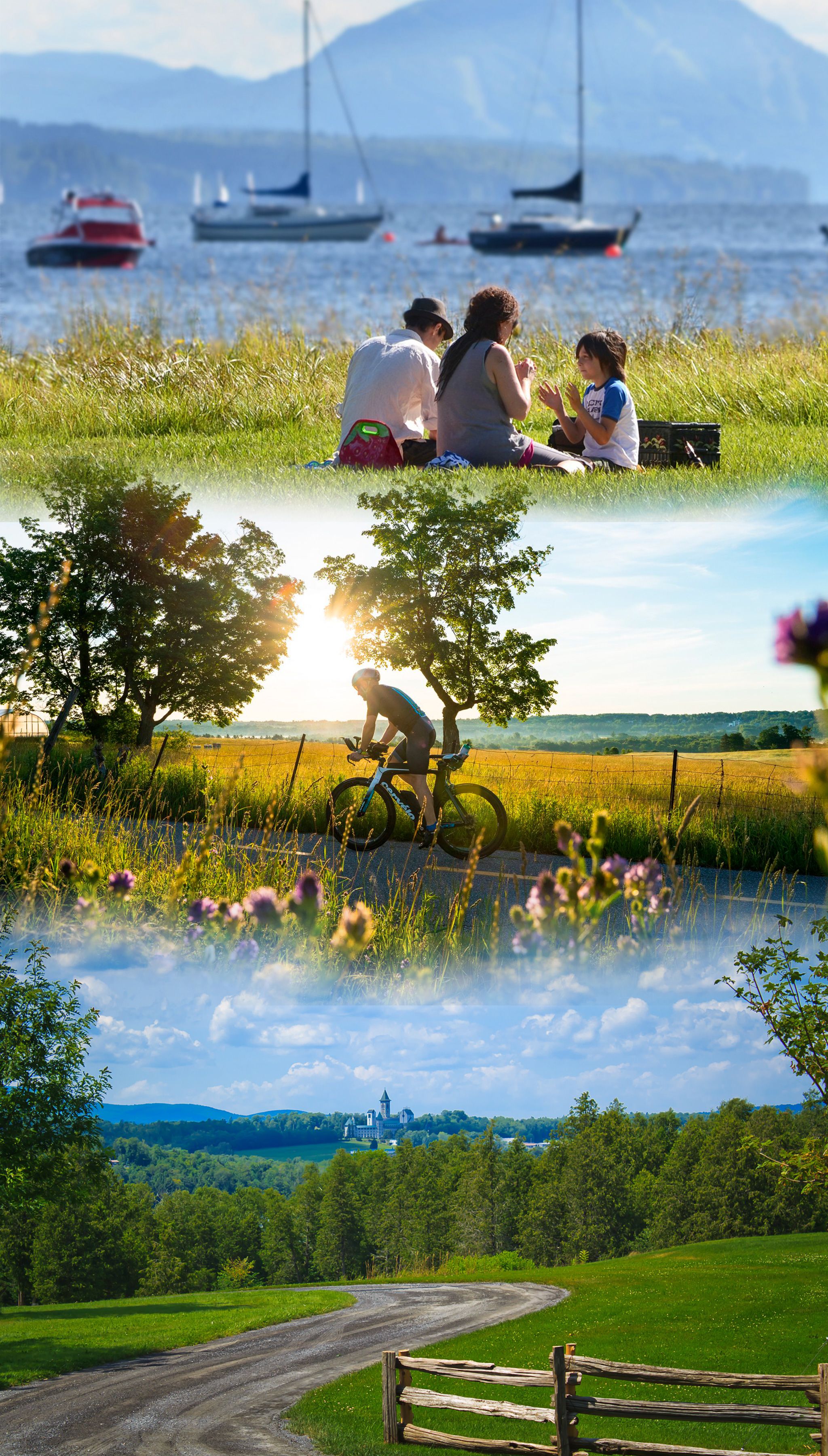 Montage photos, homme en vélo, famille qui pique-nique