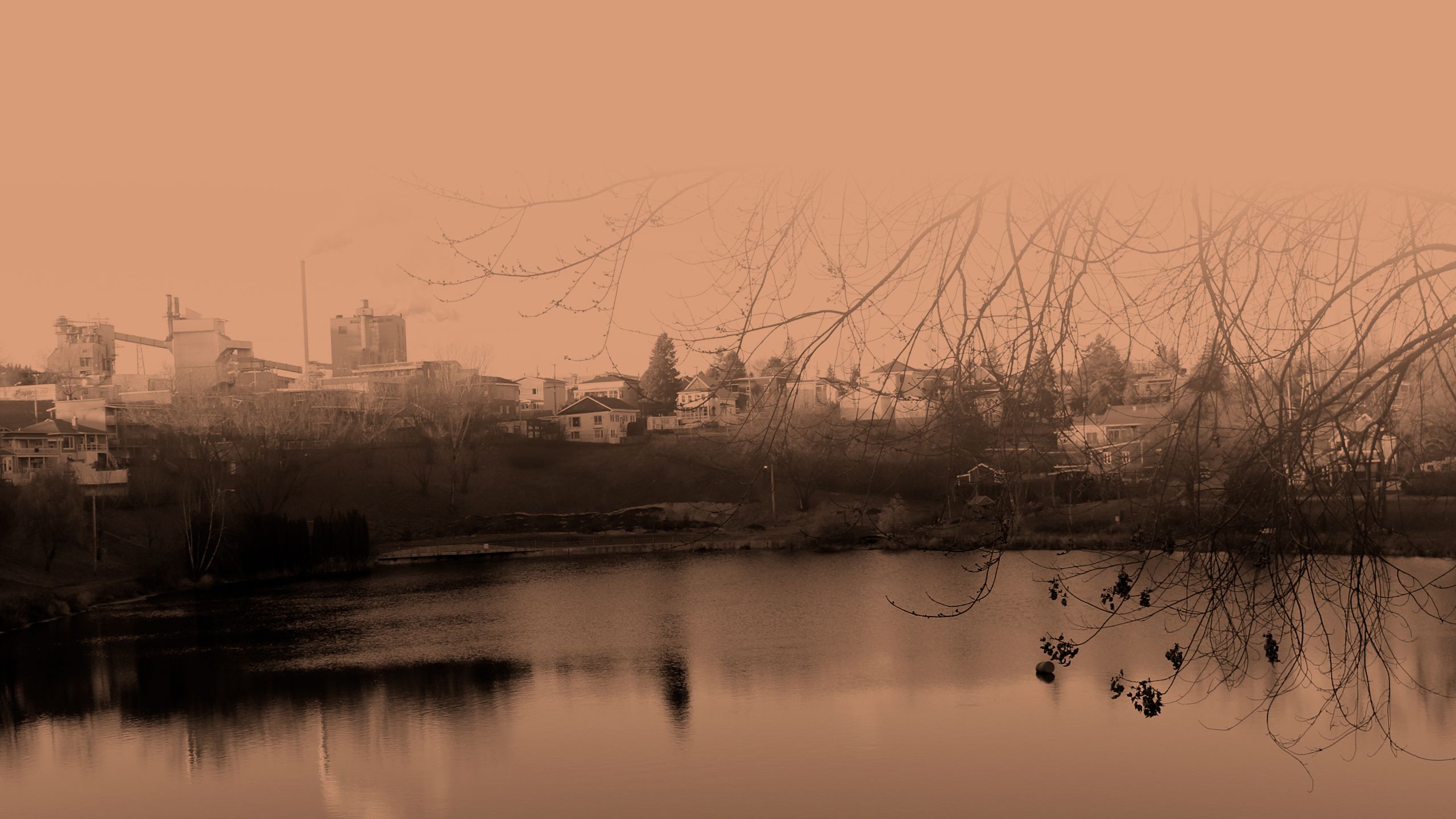 Photo paysage compagnie La Tuque